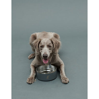 Gris グリ DW BOWL ボウル 1.2L DG0111