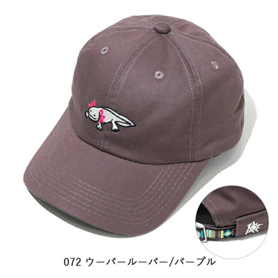 go slow caravan ゴースローキャラバン ツイル刺繍 BBキャップ 342902