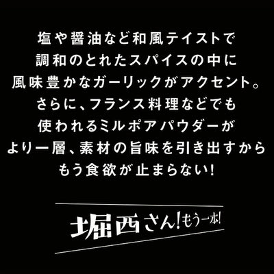 アウトドアスパイス ほりにし 詰め替え用 300g