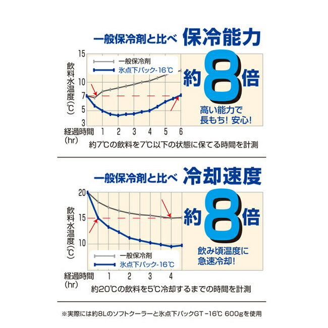 LOGOS ロゴス 氷点下パックGT-16℃・ハード900g（3個セット） 81660613