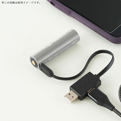 milestone マイルストーン Smart Mobile Battery スマートモバイルバッテリー MS-LB3