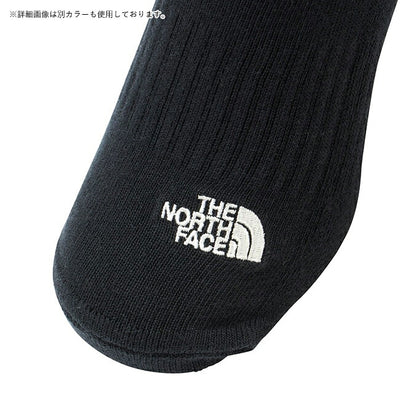THE NORTH FACE ザ・ノース・フェイス TNF Logo 2P Short TNFロゴ2Pショート NN82311