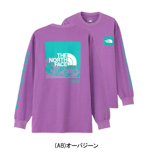 THE NORTH FACE ザ・ノース・フェイス L/S Sleeve Graphic Tee ロングスリーブスリーブグラフィックティー NT32438