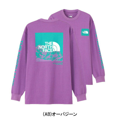 THE NORTH FACE ザ・ノース・フェイス L/S Sleeve Graphic Tee ロングスリーブスリーブグラフィックティー NT32438