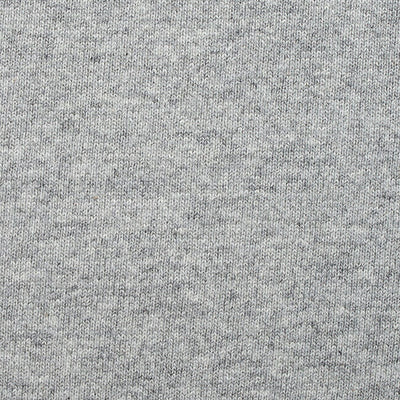 THE NORTH FACE ザ・ノース・フェイス L/S Zoo Picker Tee ロングスリーブズーピッカーティー NT32440
