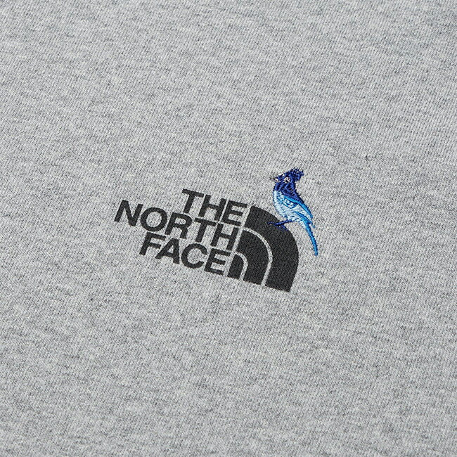 THE NORTH FACE ザ・ノース・フェイス L/S Zoo Picker Tee ロングスリーブズーピッカーティー NT32440