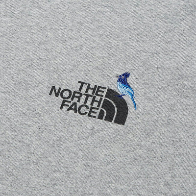 THE NORTH FACE ザ・ノース・フェイス L/S Zoo Picker Tee ロングスリーブズーピッカーティー NT32440