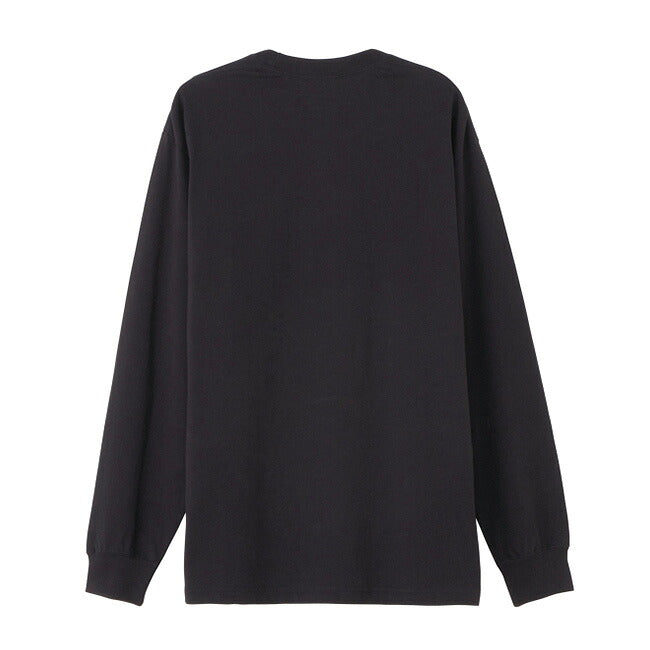 THE NORTH FACE ザ・ノース・フェイス L/S Nuptse Cotton Tee ロングスリーブヌプシコットンティー NT32443