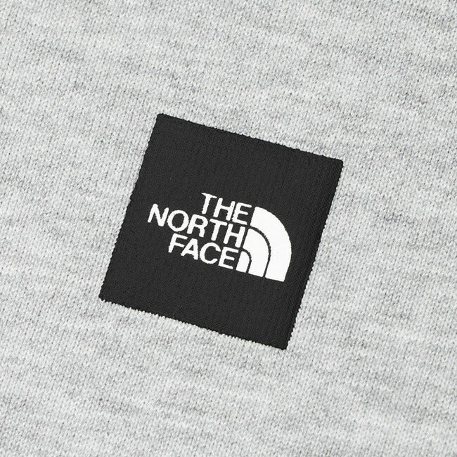 THE NORTH FACE ザ・ノース・フェイス S/S Small Box Logo Tee ショートスリーブスモールボックスロゴティー NT32445