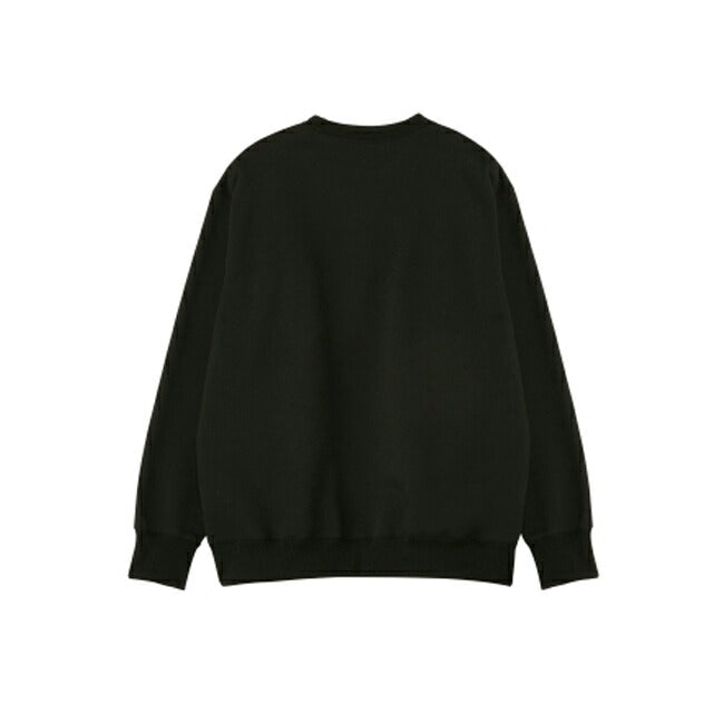 THE NORTH FACE ザ・ノース・フェイス Small Logo Heather Sweat Crew スモールロゴヘザースウェットクルー NT62337