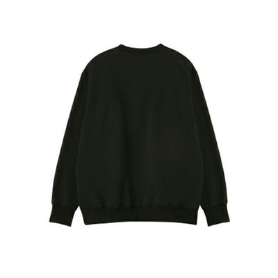THE NORTH FACE ザ・ノース・フェイス Small Logo Heather Sweat Crew スモールロゴヘザースウェットクルー NT62337