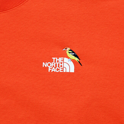 THE NORTH FACE ザ・ノース・フェイス Zoo Picker Crew ズーピッカークルー NT62434