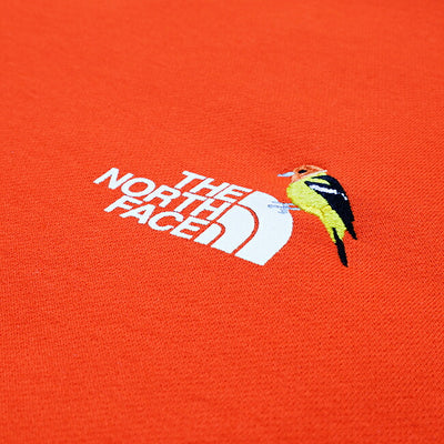 THE NORTH FACE ザ・ノース・フェイス Zoo Picker Crew ズーピッカークルー NT62434