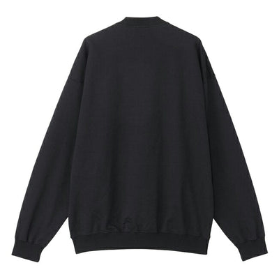 THE NORTH FACE ザ・ノース・フェイス Jacquard Half Dome Crew ジャカードハーフドームクルー NT62438