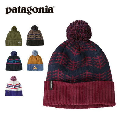 Patagonia パタゴニア Powder Town Beanie パウダータウンビーニー 29187