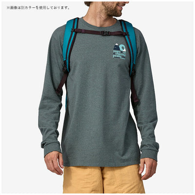 Patagonia パタゴニア ブラックホールパック 25L 49298