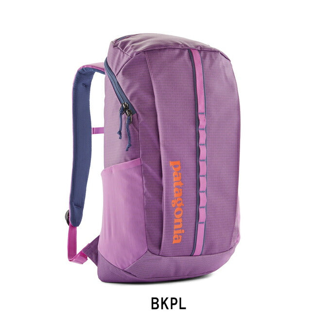 patagonia - Patagonia パタゴニア ブラックホールパック 25L 49298