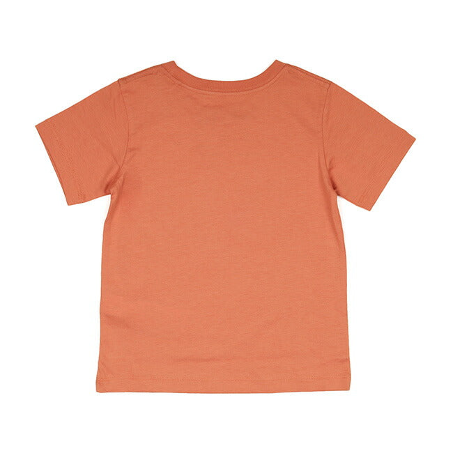 patagonia パタゴニア ベビー リジェネラティブ オーガニック サーティファイド コットン グラフィック Tシャツ 60388