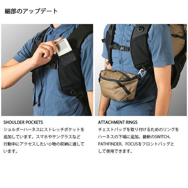 PaaGo WORKS パーゴワークス BUDDY 33 バディ33 HP203