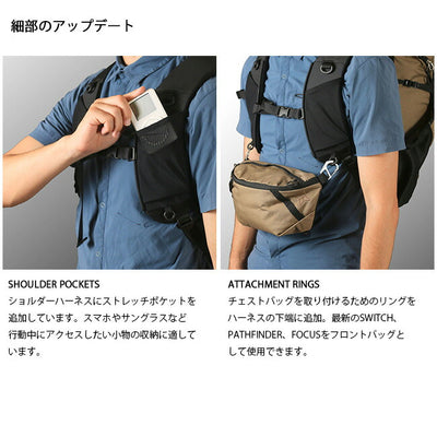PaaGo WORKS パーゴワークス BUDDY 33 バディ33 HP203