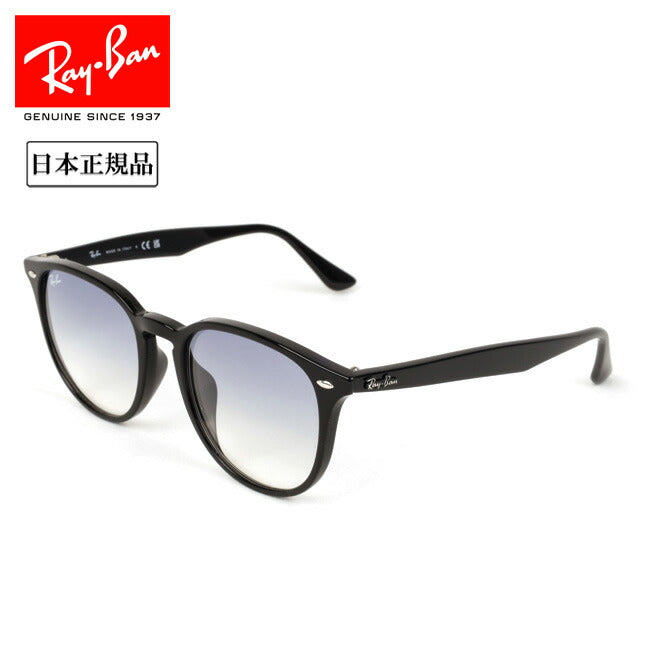 Ray-Ban レイバン RB4259