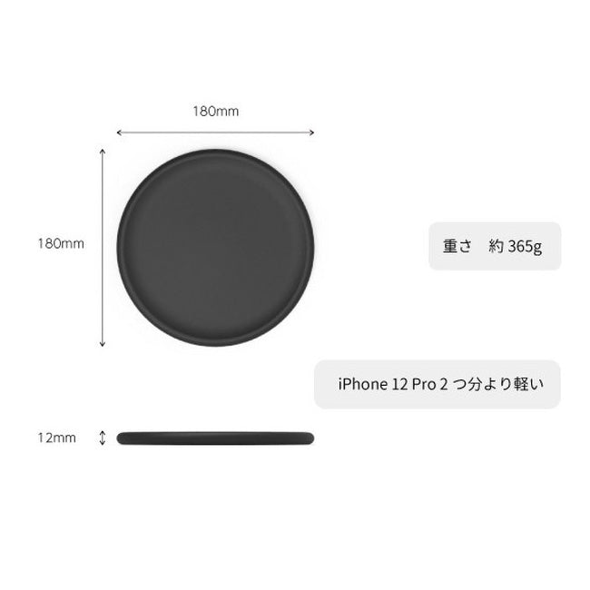 Stay smile ステイスマイル カーボングリルプレート 小 専用ケース付き