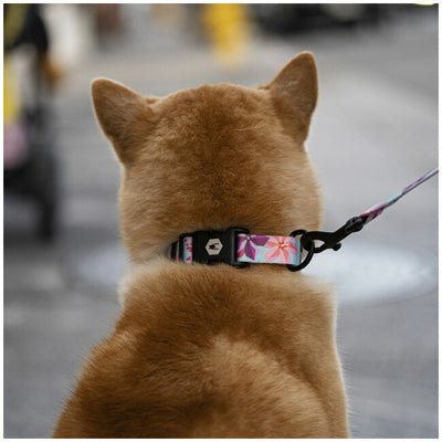 WOLFGANG MAN & BEAST ウルフギャング COLLAR S カラー WC-001