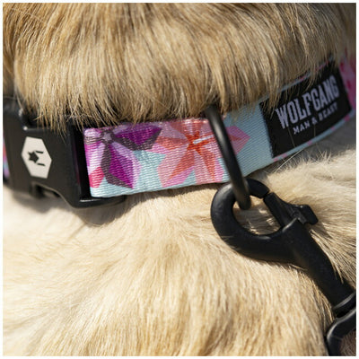 WOLFGANG MAN & BEAST ウルフギャング COLLAR M カラー WC-002