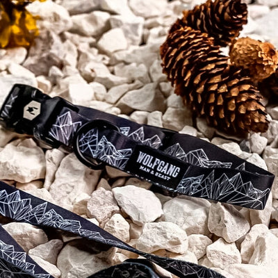 WOLFGANG MAN & BEAST ウルフギャング COLLAR L カラー WC-003
