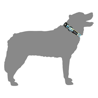 WOLFGANG MAN & BEAST ウルフギャング COLLAR L カラー WC-003