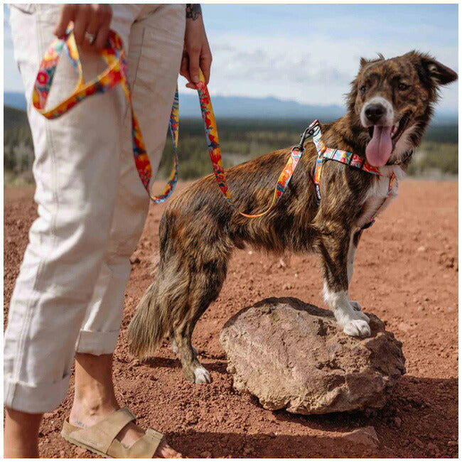 WOLFGANG MAN & BEAST ウルフギャング HARNESS M ハーネス WH-002