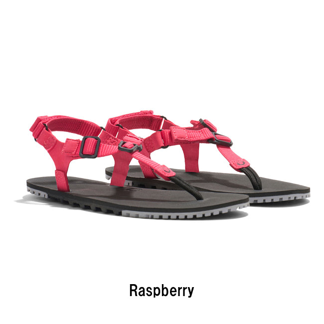 XEROSHOES - Women's H-Trail Hトレイル HTW | アウトドアショップ