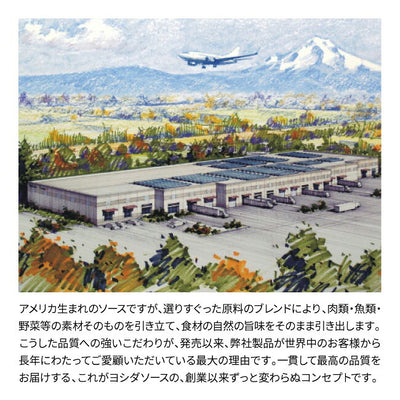 Yoshida's ヨシダソース ヨシダグルメのたれ オリジナル ハーフボトル