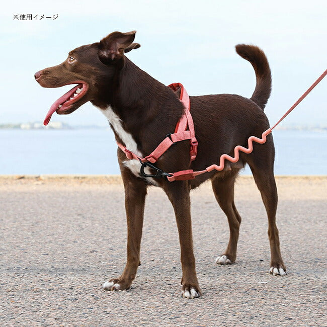 zee.dog ジードッグ RUFF LEASH S ラフリーシュS