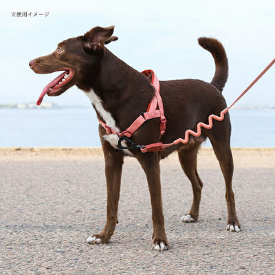 zee.dog ジードッグ RUFF LEASH S ラフリーシュS