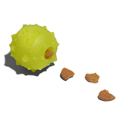 zee.dog ジードッグ ROB THE MICROBE ロブザマイクローブ