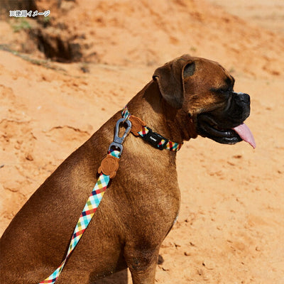 zee.dog ジードッグ COLLAR L カラーL