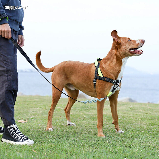zee.dog ジードッグ RUFF LEASH L ラフリーシュL