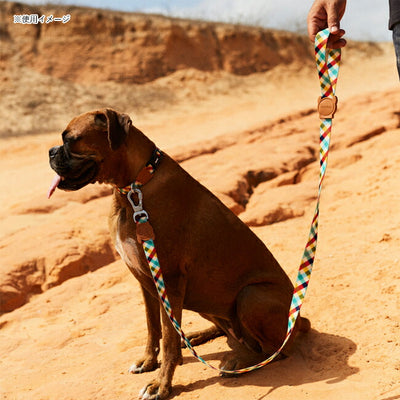 zee.dog ジードッグ LEASH XS リーシュXS