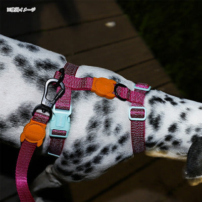 zee.dog ジードッグ H-HARNESS S HハーネスS