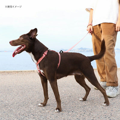 zee.dog ジードッグ H-HARNESS L HハーネスL