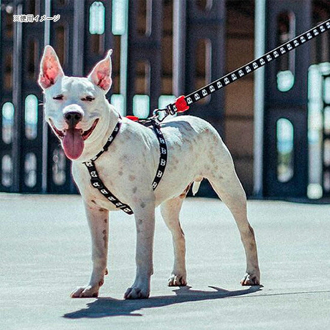 zee.dog ジードッグ H-HARNESS L HハーネスL