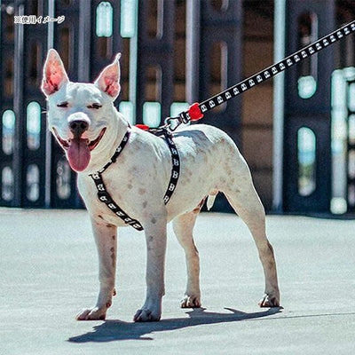 zee.dog ジードッグ H-HARNESS L HハーネスL