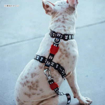 zee.dog ジードッグ H-HARNESS L HハーネスL
